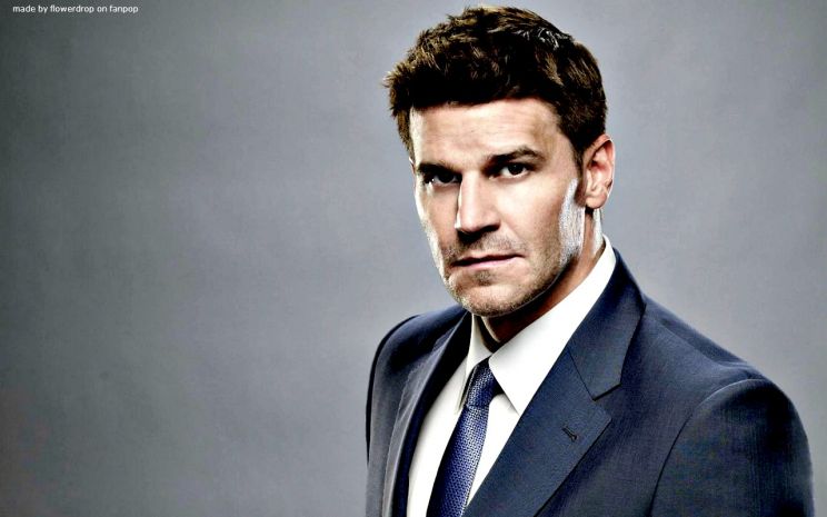 David Boreanaz