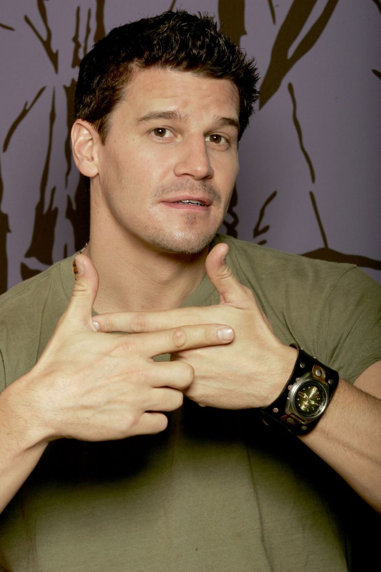 David Boreanaz