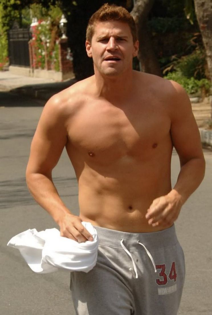 David Boreanaz