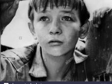 David Bradley