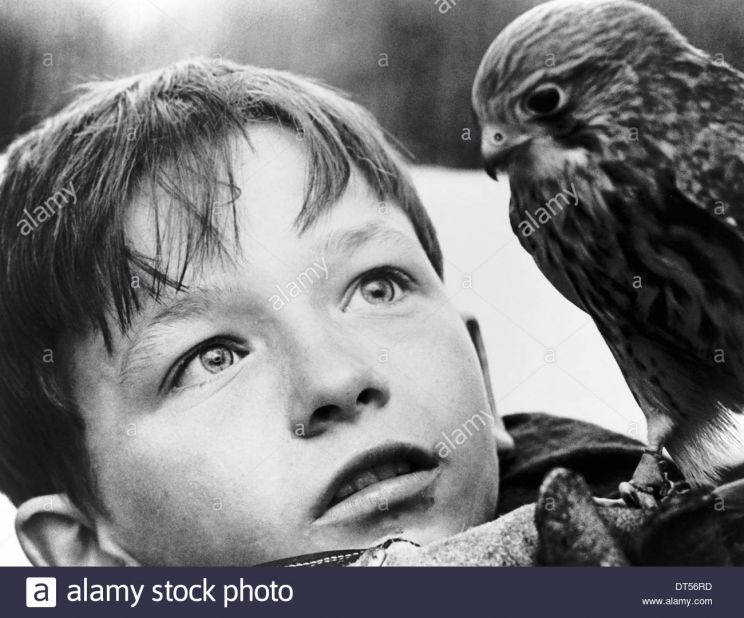 David Bradley