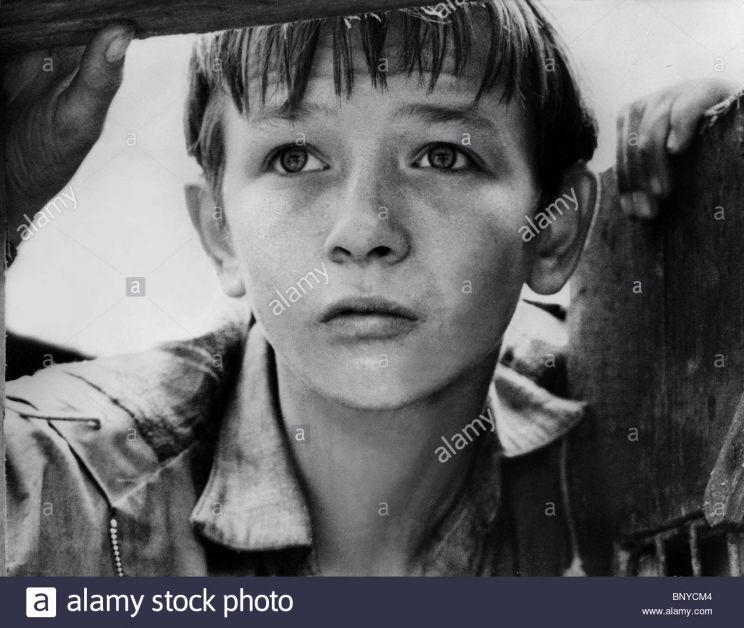 David Bradley