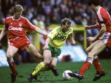 David Burrows