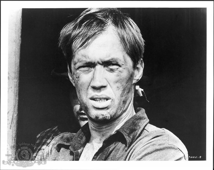 David Carradine