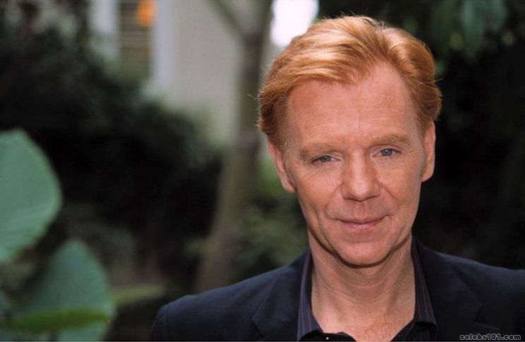 David Caruso