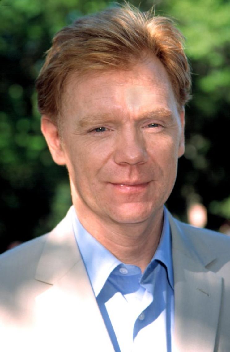 David Caruso
