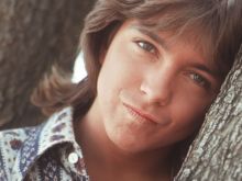 David Cassidy