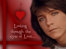 David Cassidy