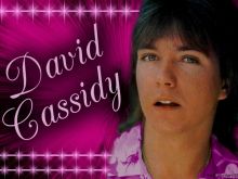 David Cassidy