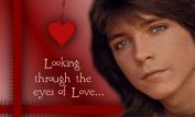 David Cassidy