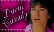 David Cassidy