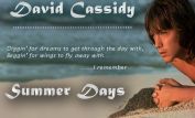 David Cassidy