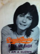 David Cassidy #85668 picture (Portrait Medium)