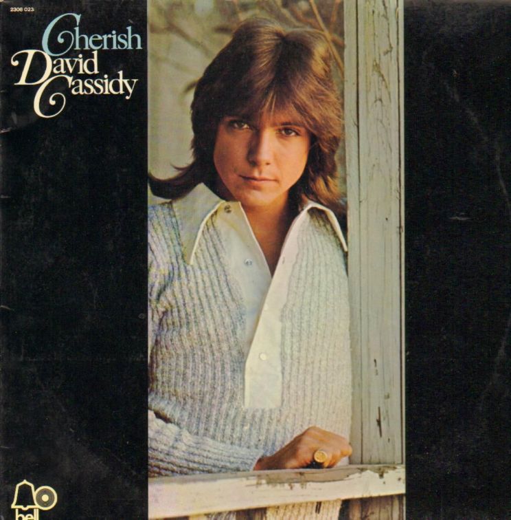 David Cassidy