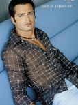 David Charvet