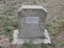 David Colin Jr.