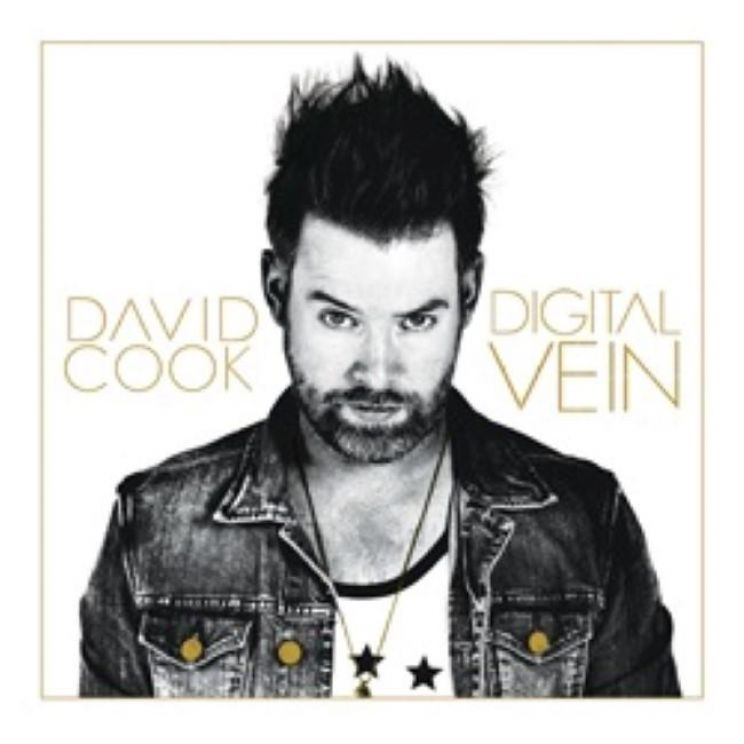 David Cook