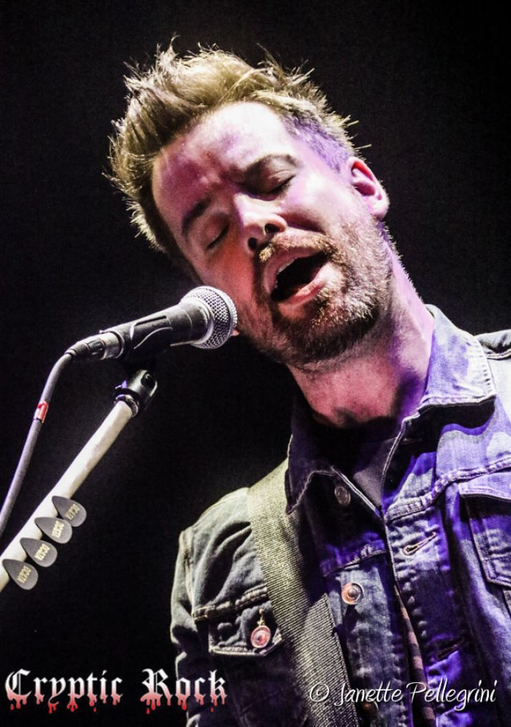 David Cook