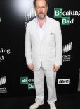 David Costabile