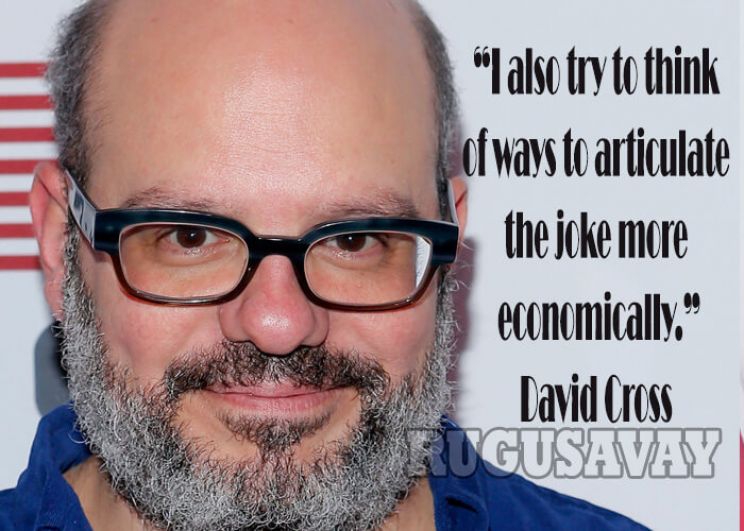 David Cross