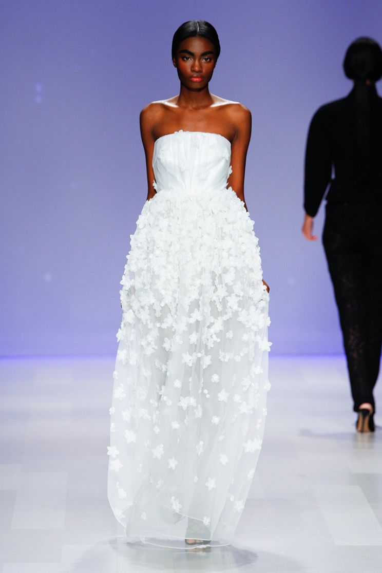 David Dixon