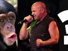 David Draiman