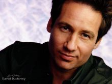 David Duchovny #76161 picture (Landscape Medium)