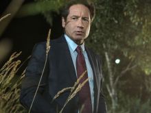 David Duchovny
