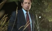 David Duchovny