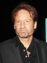 David Duchovny #76134 picture (Portrait Medium)