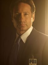 David Duchovny #76149 picture (Portrait Medium)