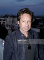 David Duchovny #76178 picture (Portrait Medium)