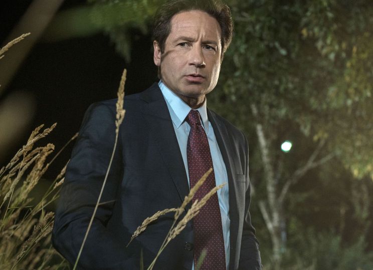 David Duchovny