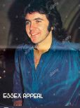 David Essex