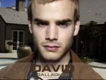 David Gallagher