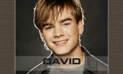 David Gallagher