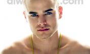 David Gallagher