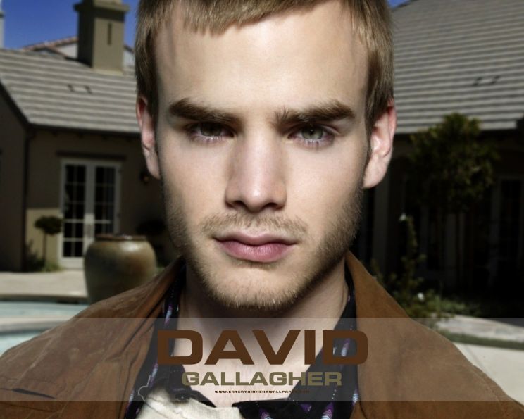 David Gallagher