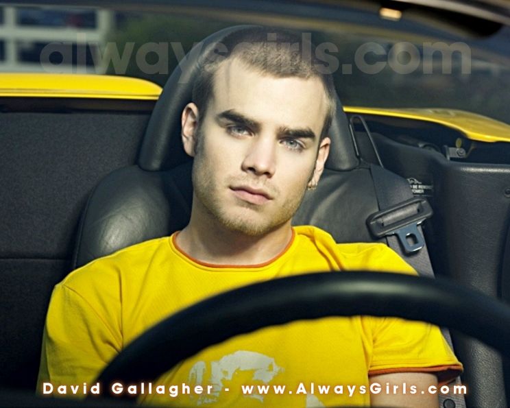 David Gallagher