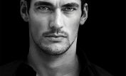 David Gandy