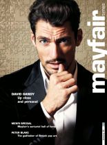 David Gandy