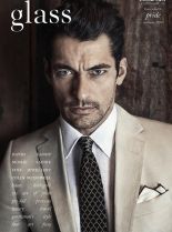 David Gandy