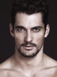 David Gandy