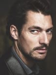 David Gandy