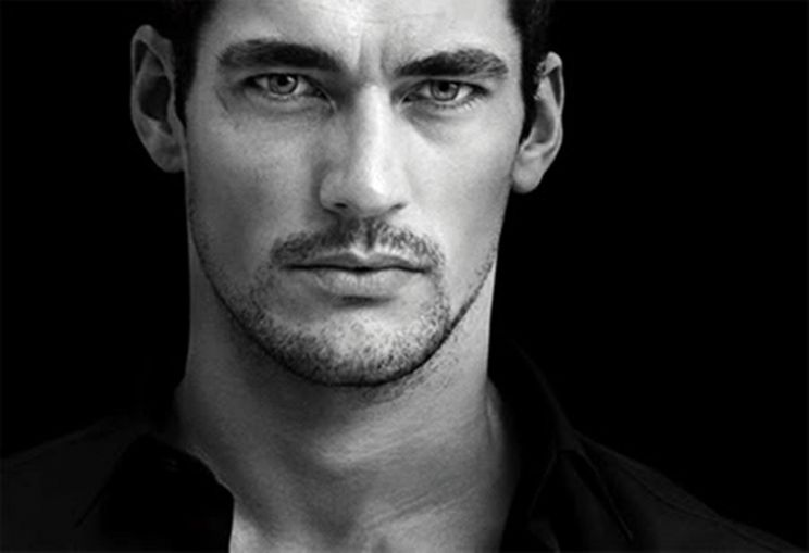 David Gandy