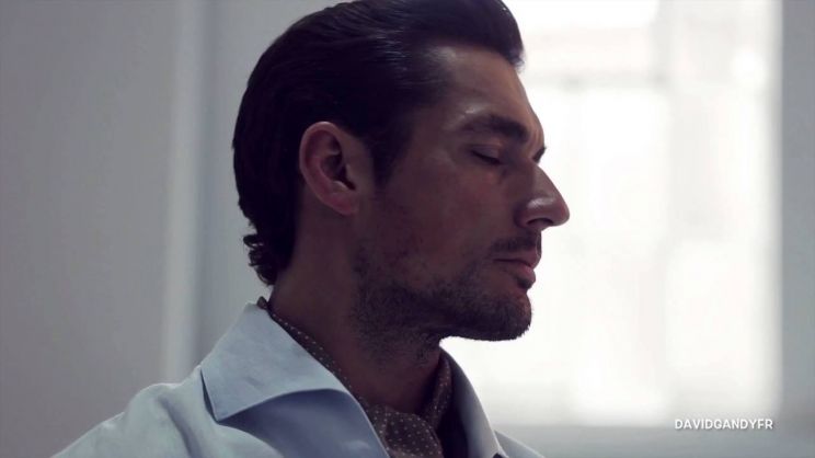 David Gandy