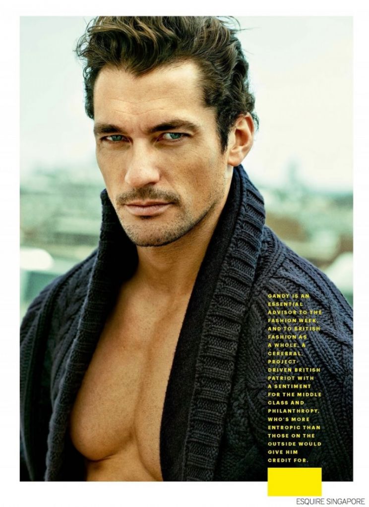 David Gandy