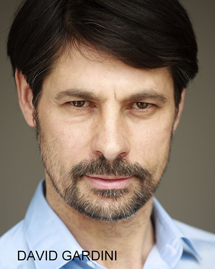 David Gardini
