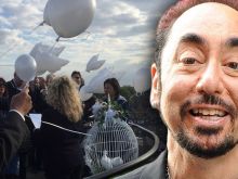 David Gest