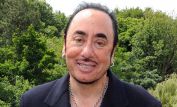 David Gest